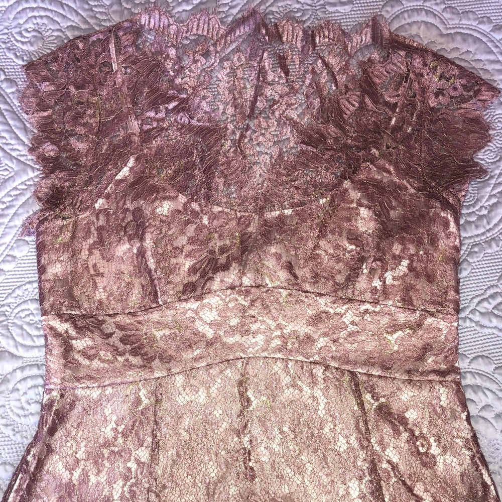 Blush and Gold Cap Sleeved Lace Peplum